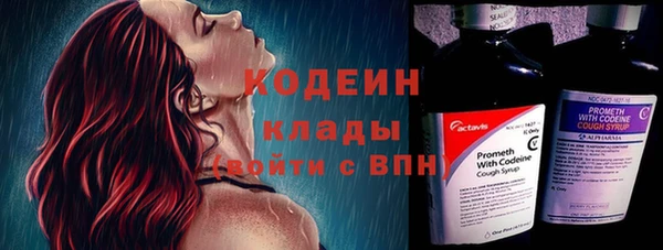 шишки Новозыбков