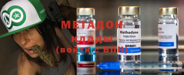 шишки Аркадак