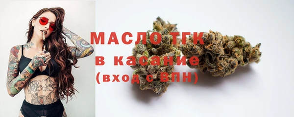 гашик Арсеньев