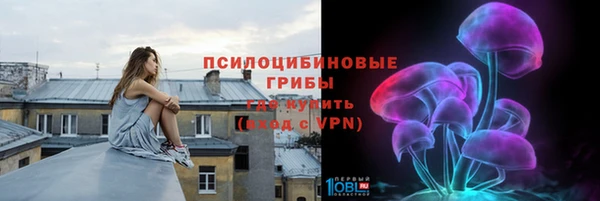 гашик Арсеньев