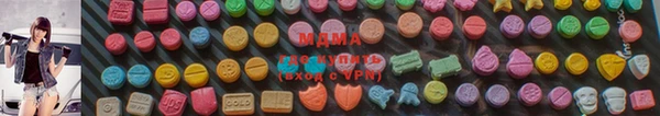 шишки Аркадак