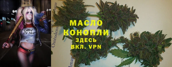 шишки Аркадак