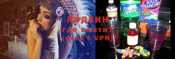 шишки Новозыбков