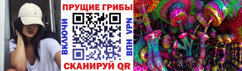 Галлюциногенные грибы Magic Shrooms  Строитель 